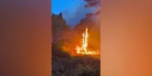 Incendio tra Lucca e Pisa, in fiamme 250 ettari di bosco
