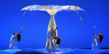 'Botanica - Season 2' dei Momix debutta in prima assoluta a Bologna
