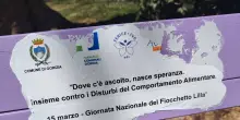Vandalizzata a Gorizia la panchina Lilla contro i disturbi alimentari