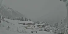 I Santi di Ghiaccio portano neve e crollo termico in Alto Adige