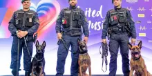 Eurovision, proteste anti-Israele annunciate a Vienna