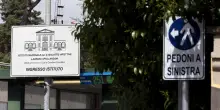 Hantavirus: i test allo Spallanzani, allertati gli uffici di sanit&agrave; marittima