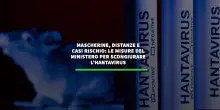Mascherine, distanze e casi rischio: le misure del ministero per scongiurare l'hantavirus