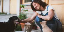 Il mercato Pet food + Pet care in Italia vale 5,3 miliardi di euro