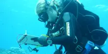 Maldive, una studentessa della ricercatrice, 'si era fatta valere in mondo maschilista'