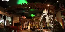 Scoperto in Thailandia il piu' grande dinosauro del sud-est asiatico