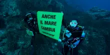 Tragedia alle Maldive, Greenpeace ricorda Montefalcone in un video