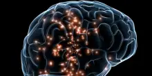 Nel cervello le tracce dei traumi vissuti nell'infanzia