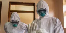 L'OMS dichiara l'emergenza sanitaria internazionale per un raro ceppo di Ebola