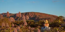 Un'estate di fiori e stelle in Australia, stargazing con leggenda anche in Giappone