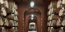 Folonari, nuova cantina del Cabreo, investimento da 7 milioni a Greve in Chianti