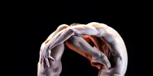 Il Festival di Danza Contemporanea animer&agrave; Ferrara dall'11 settembre all'8 novembre