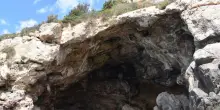 Anche i Neanderthal raccoglievano i molluschi nei mesi freddi