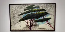 Da Pace a New York i pini marittimi di Julian Schnabel