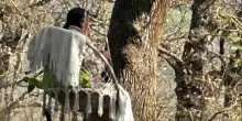 In arrivo la relazione degli ispettori del ministero sulla famiglia del bosco