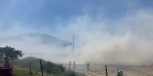 Incendi in Sardegna, fiamme minacciano case in Gallura