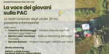 Ad ANSAIncontra la voce dei giovani agricoltori sulla Pac