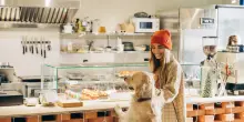 Buon appetito cuccioli, a Parigi spopolano i caff&egrave; 'dog-first'