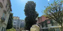 Arnaldo Pomodoro in 45 opere, alle Gallerie d'Italia una vita nell'arte