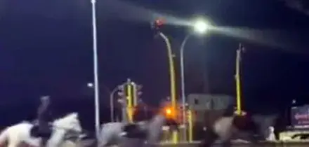 Cavalli fuggiti, indagato agente che ha acceso fuochi d'artificio