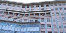 Torna lo scorbuto, una bimba di 7 anni salvata a Torino