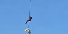 Resti umani nello stomaco di un coccodrillo in Sudafrica, forse sono di un uomo scomparso