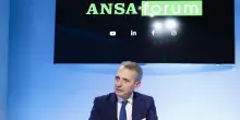 Forum ANSA con il direttore dell'Agenzia delle Entrate Carbone: 'In 3 giorni 1,6 milioni di accessi alla precompilata'