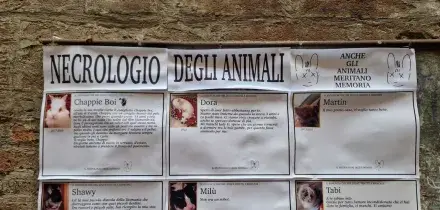 Su un muro del centro di Perugia uno spazio dedicato al 'necrologio degli animali'