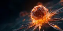 Tumori, una sonda a fibra ottica per bruciare le cellule malate