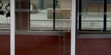 Un giovane capriolo fa visita a una scuola a Bolzano