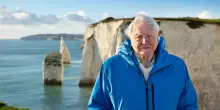 I 100 anni di David Attenborough, ha reso la natura popolare come il calcio