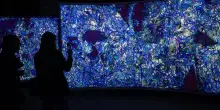 Biennale di Venezia, un viaggio tra i padiglioni del mondo