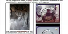 Convalidato il fermo per 21enne accusato di terrorismo internazionale