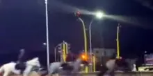 Cavalli fuggiti a Roma, indagato l'agente che ha acceso i fuochi d'artificio