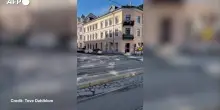 Alce passeggia nel centro di Oslo