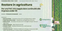 Pac post 2027, aiutare i giovani a restare nei campi, sfida &egrave; dare prospettive