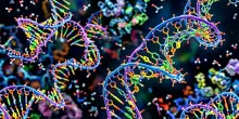 Vista la firma genetica dell'invecchiamento