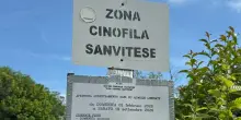 Cacciatore spara a una quaglia ma centra e ferisce un runner
