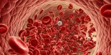 Da un'analisi del sangue la spia dell&rsquo;et&agrave; biologica di 11 organi