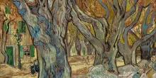 Su Sky il doc sull'acclamata mostra della National Gallery su Van Ghog