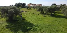 Estate a Selinunte, musica e teatro oltre 200 artisti per 56 appuntamenti