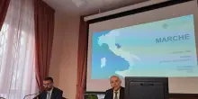 Bankitalia, Pil Marche +0,5% nel 2025, quadro geopolitico frena l'economia