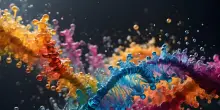 Altri 766 geni associati alla schizofrenia, 641 sono nuovi