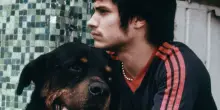 Il 10 luglio arriva su Mubi l'opera prima di Inarritu, Amores Perros, restaurato in 4k