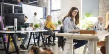 Giornata del cane in ufficio, cresce la rete delle aziende pet-friendly