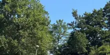 Roscigno, al via indagini geofisiche nell'area archeologica di Monte Bruno