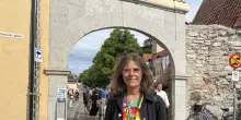 Svezia, 35.000 persone al festival della democrazia sull'isola di Gotland