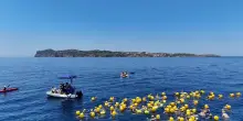 A Ventotene la tradizionale Natalonga per l'Europa