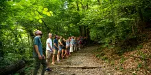 'Estate ai 300 Scalini' per l'estate bolognese, in collina dal 4 giugno all'8 agosto