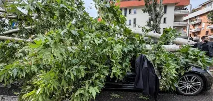 Maltempo: tromba d'aria a Roma, alberi caduti e traffico in tilt